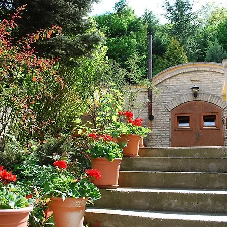 Harmonia Panzio Visegrád