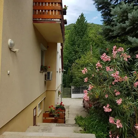 Harmonia Panzio 3* Visegrád