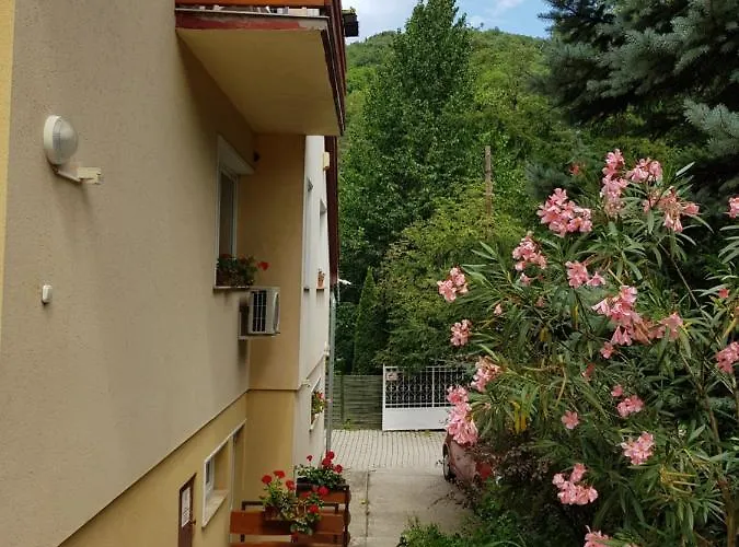 Harmonia Panzio 3* Visegrád